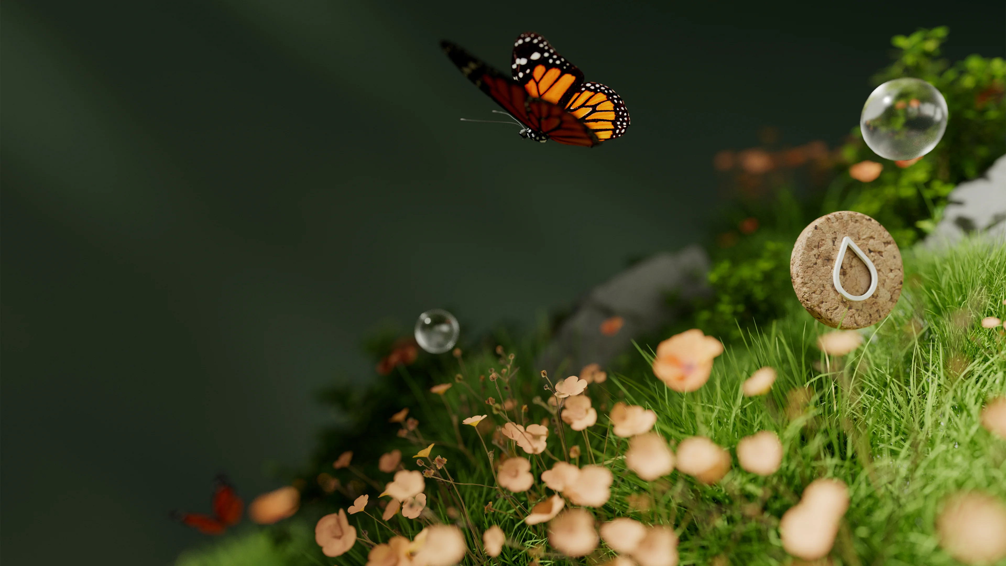 monarch-butterfly-3840x2160-22790.webp
