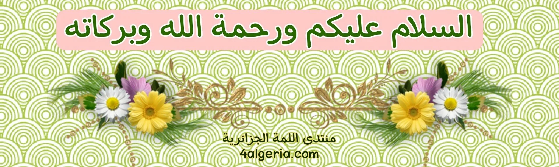 1777548145103.webp