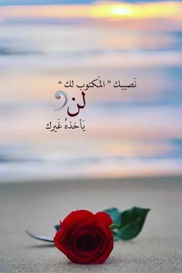 1777814422393.webp