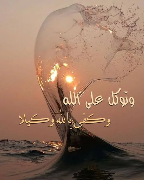 1777814588366.webp