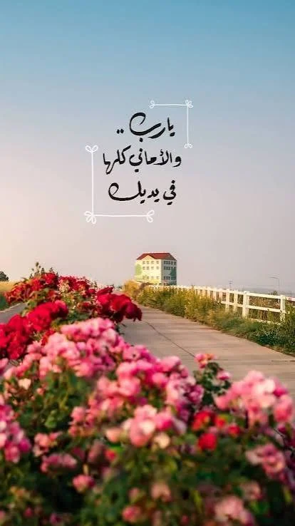 1777833345861.webp