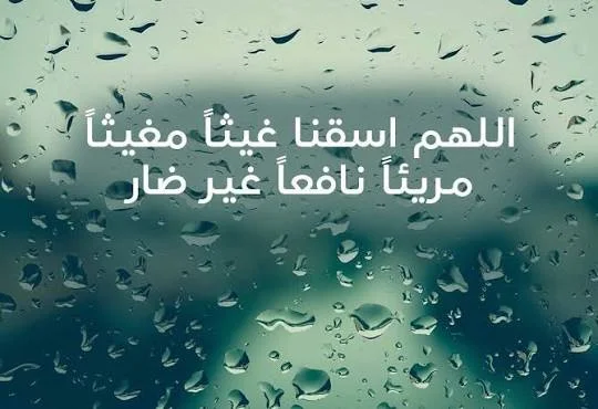 1777931006181.webp