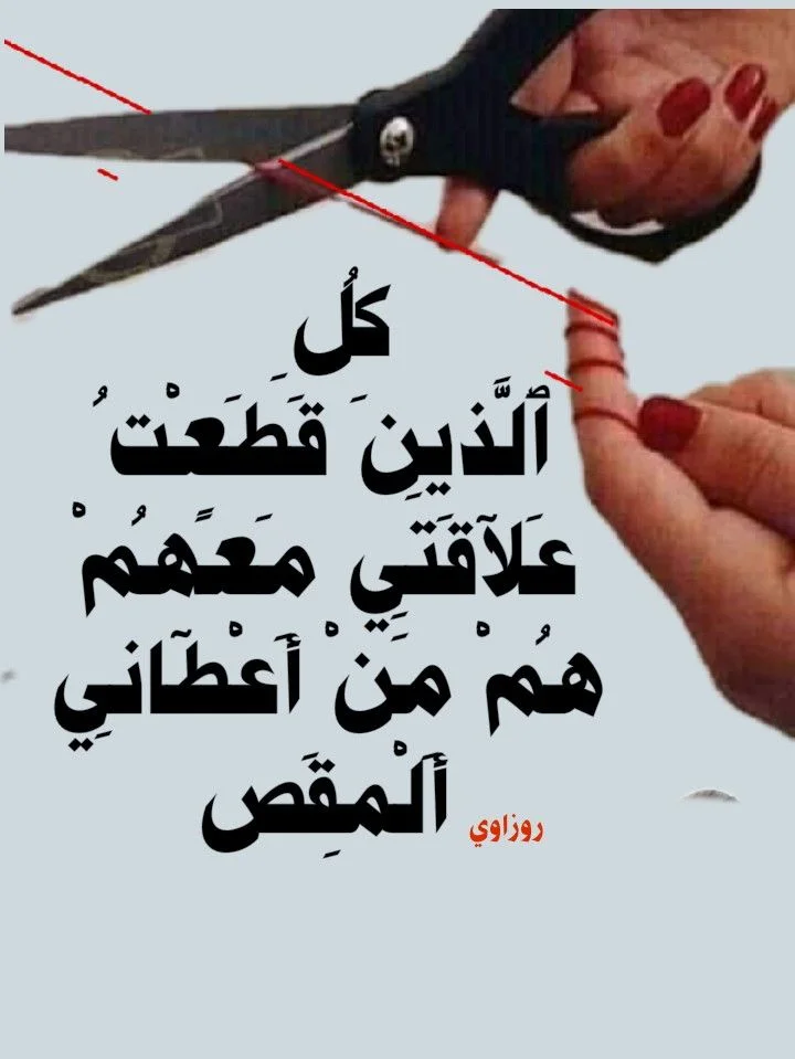 ca8a092a247f6d90a20e6e595881c8b5.webp