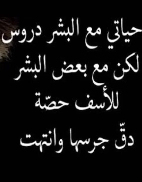 0fe0d72be2cc2844574204534d284991.webp