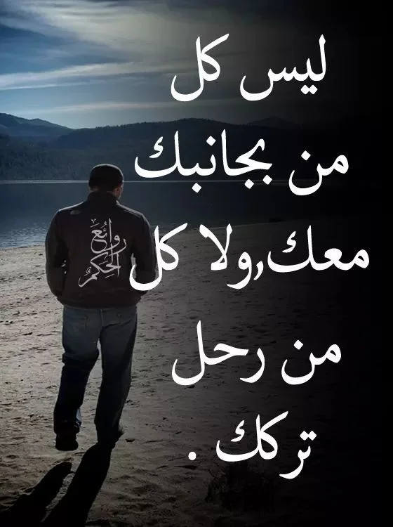 d8d7c5029094507e475c21d4517eda01.webp