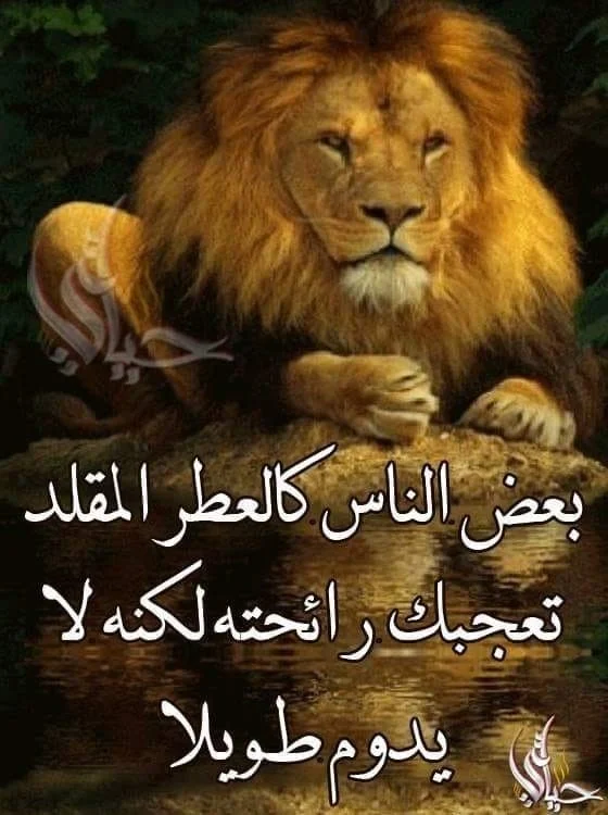 10da6ef2028dece714aac600aa08854e.webp