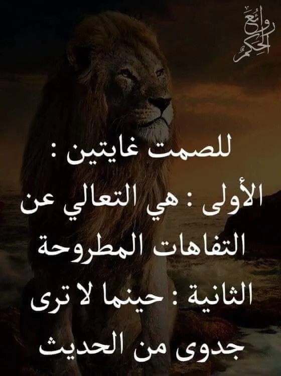 4485321f7a458dbdfc6a9db6b5e756e8.webp