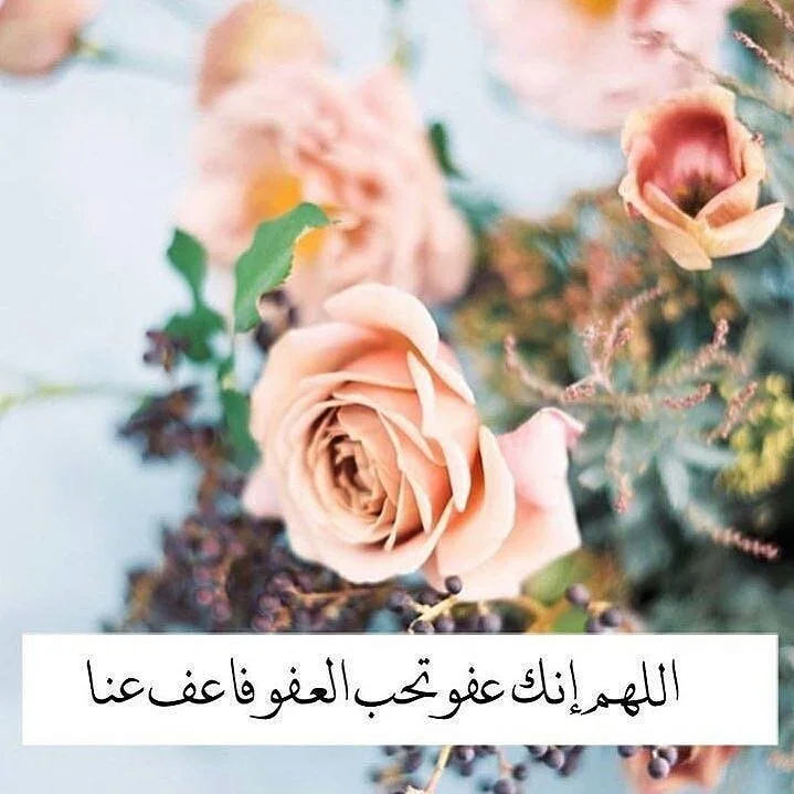1778361466777.webp