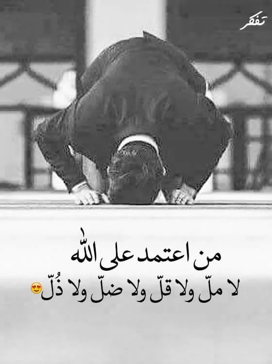 5436111d8c22c0abf28dafb2b4e789d5.webp