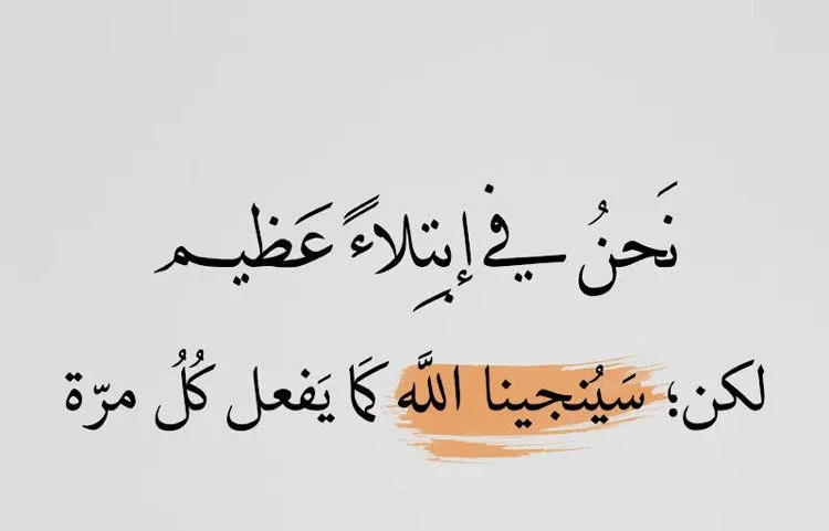 31e95f065ff46d09d4cbdab66a88f07d.webp