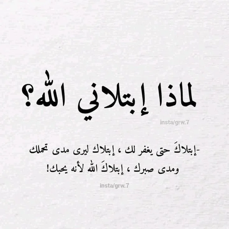 fd87fcee9664acc45c2b4dd7e2a3ae55.webp