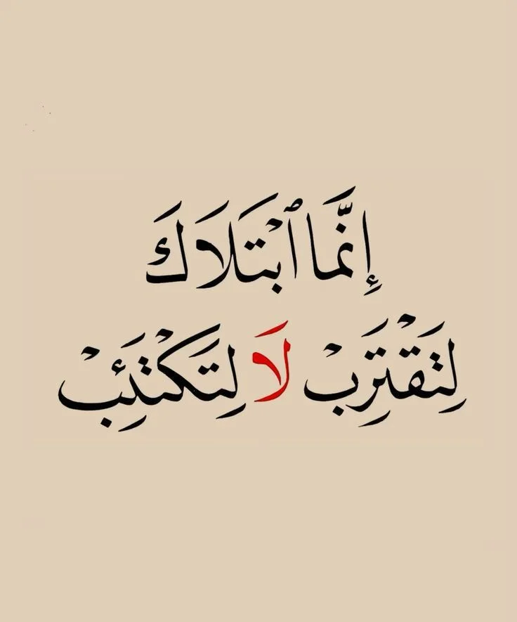 3f6a204752a6337cba0524fbf6ad28f7.webp