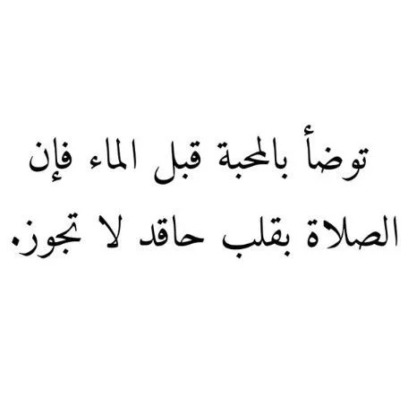 6539513eca0278a46261595bd28b3f64.webp