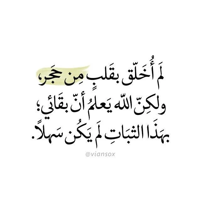 c395782e1bc56c99d27c23b28185a65b.webp