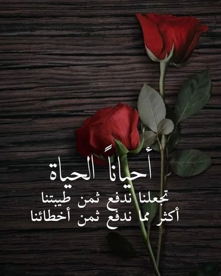 629747d01d2ad5db888c3106f25cad96.webp