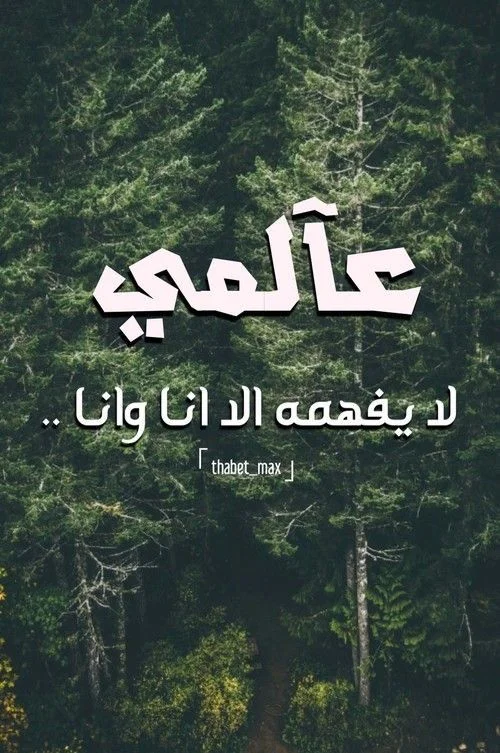 58e67c6c9845416e1fe130e93312c57e.webp