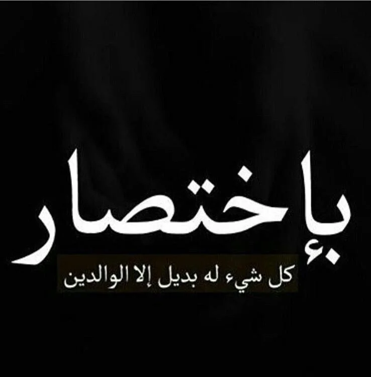 63a75b8c0ee79170268d06dc65456f90.webp