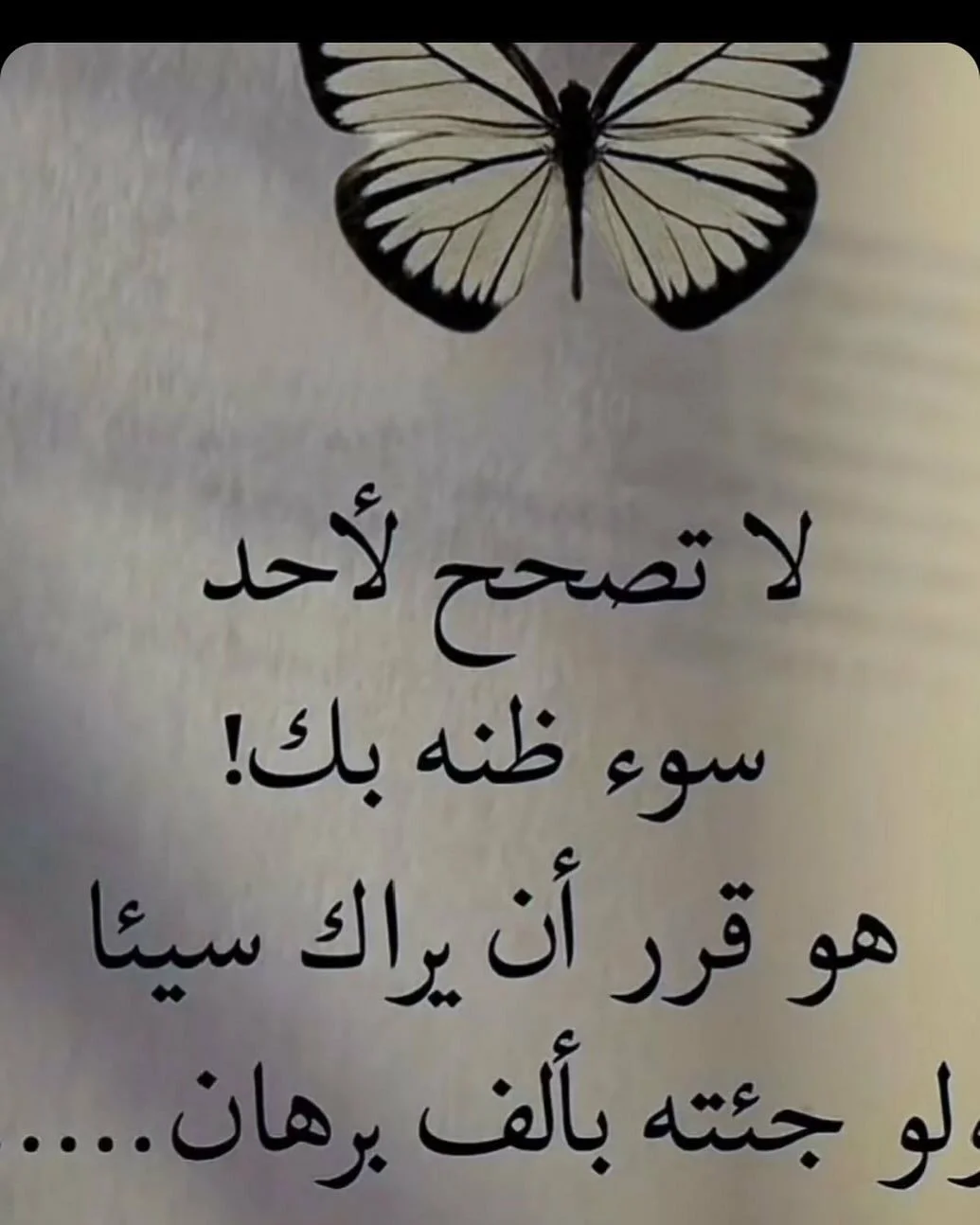 9d5de3ced4ab7f78996a23e2126f139c.webp