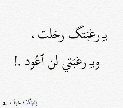 4e919b36500ecfd44e776006fe5bd814.webp