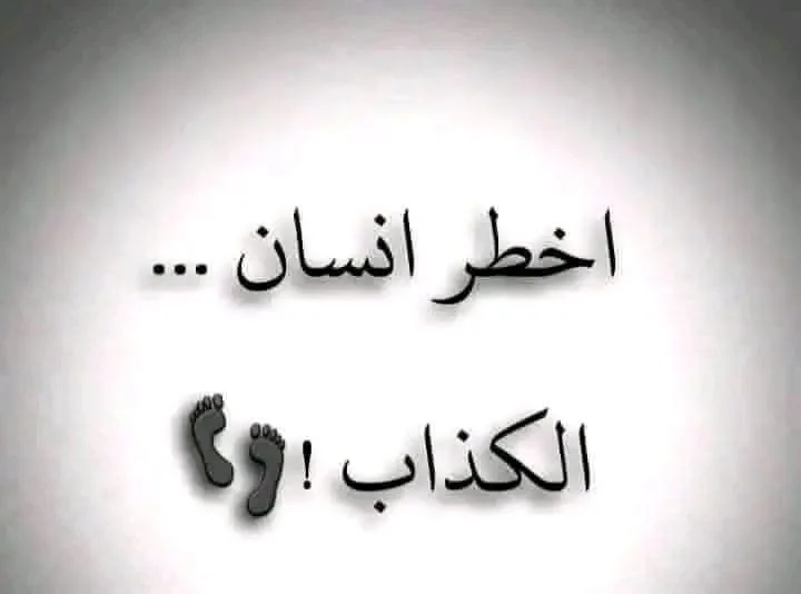 7.webp