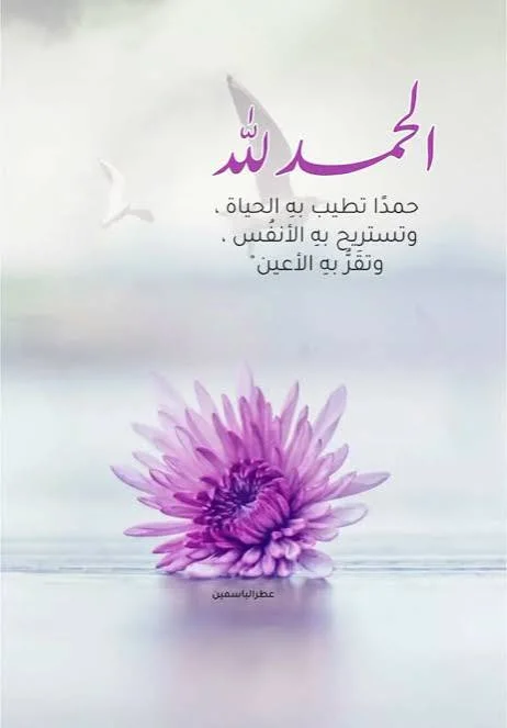 1778956735880.webp