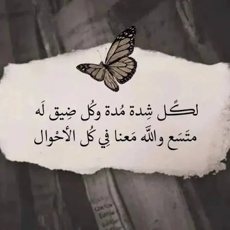 1779101500249.webp