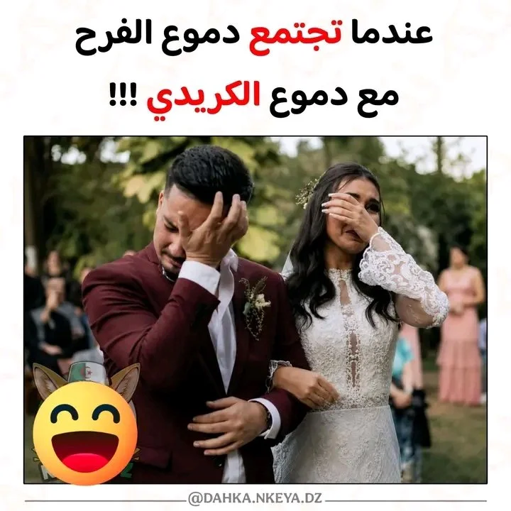 105.webp