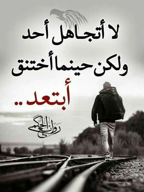 c500922e5cc64d5b41a9e384ba2c42f0.webp