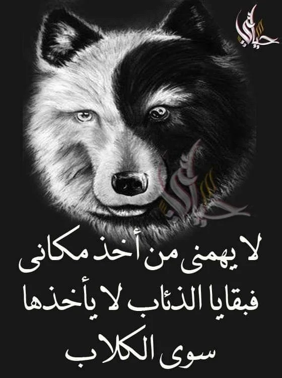 7fe6e39f56095d24333dfd5cb26758fb.webp