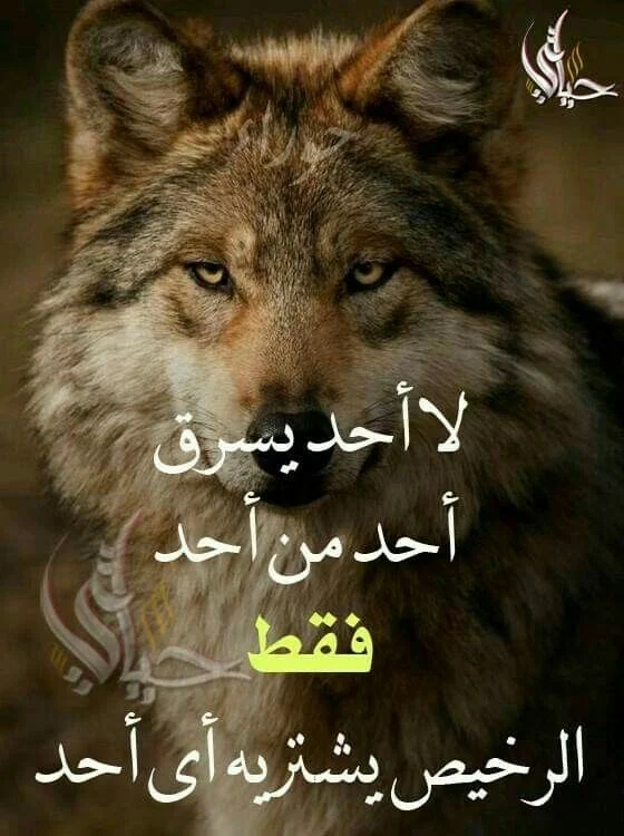 357d528417c96486f0c592913815d9cf.webp