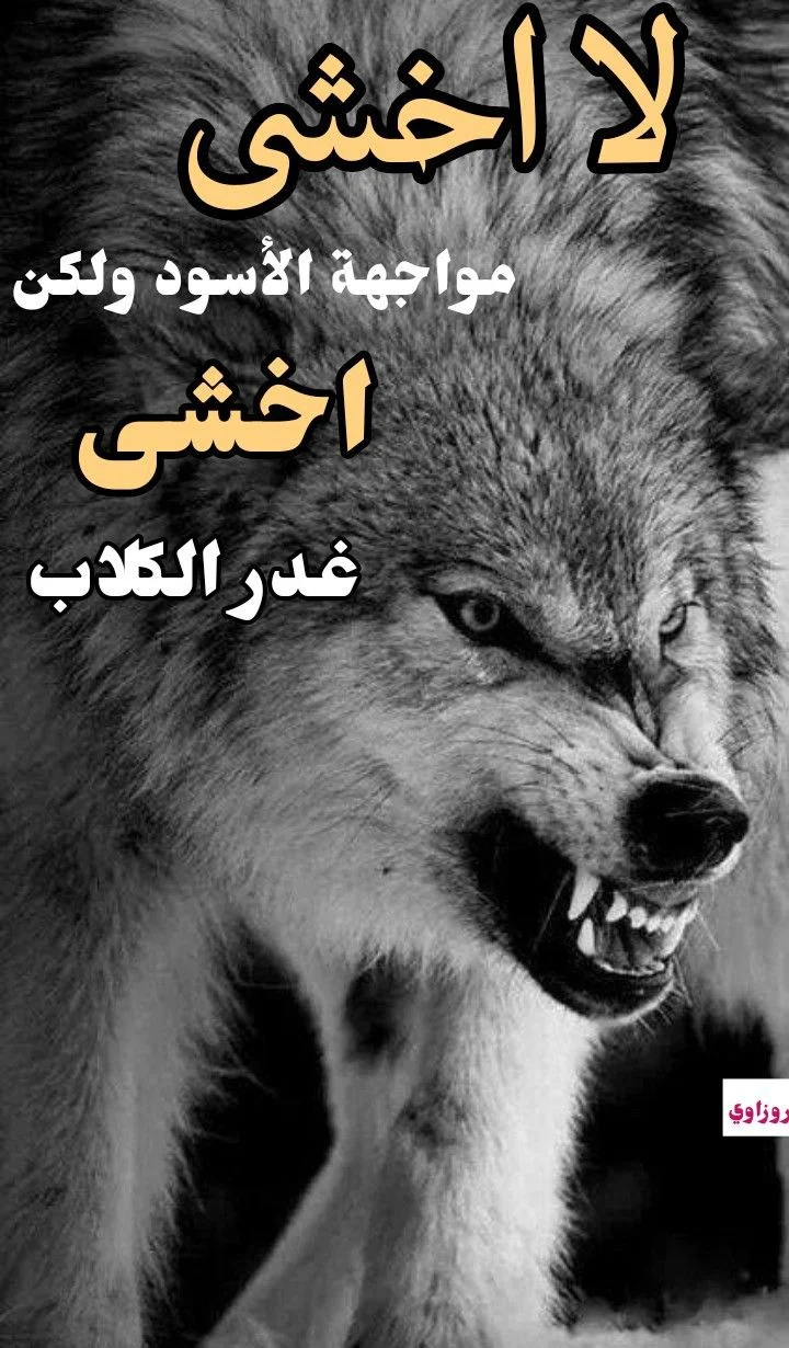4af8d0889e21e3ef4f749dc870dfeb1f.webp