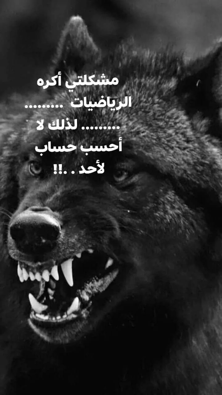 6087f937e496897c3ba1d7cf3dad0259.webp