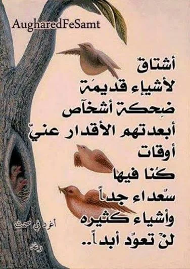 images (1).webp