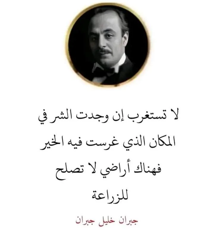 bddd2b727812bcac6ddeef494bee8385.webp