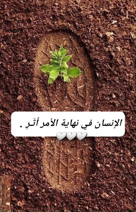 30278753292a1a0bbb7666c6d6a3b9ee.webp