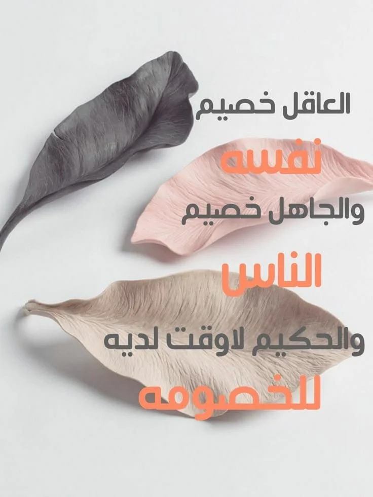e09e8885a3ca077fd5fba2a54bc70105.webp