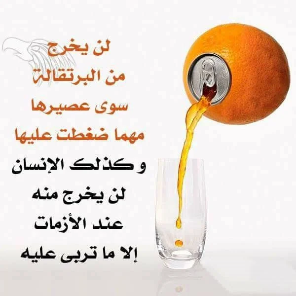 8457f599b8fa8b4cf5bde30396e3047b.webp