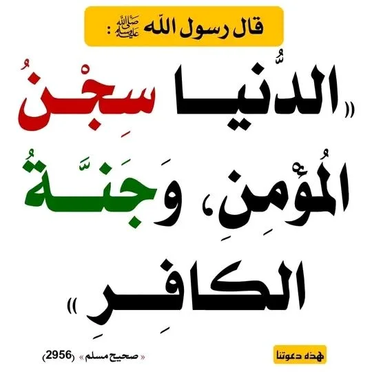 50510a75ac65f7ab3b26be42fac529df.webp