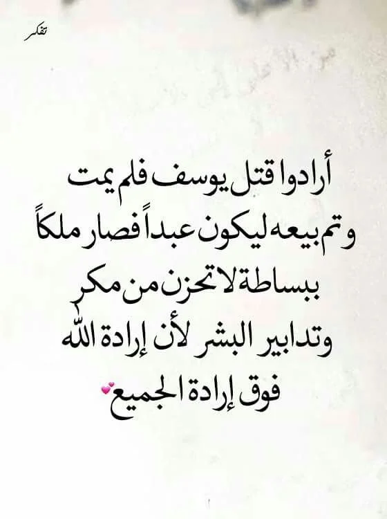 c814560ad80c91bf241f91b900997ce0.webp