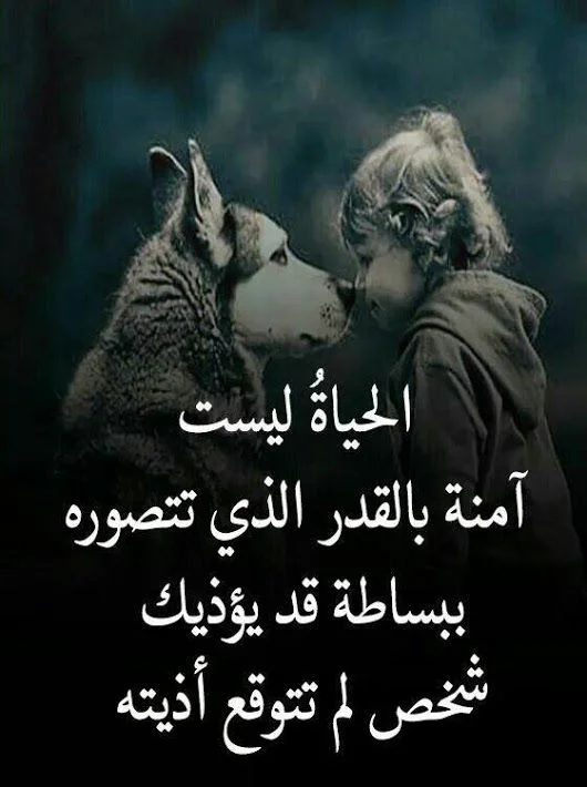 1eabf07a7b3e801a342e471a2f28f8b6.webp