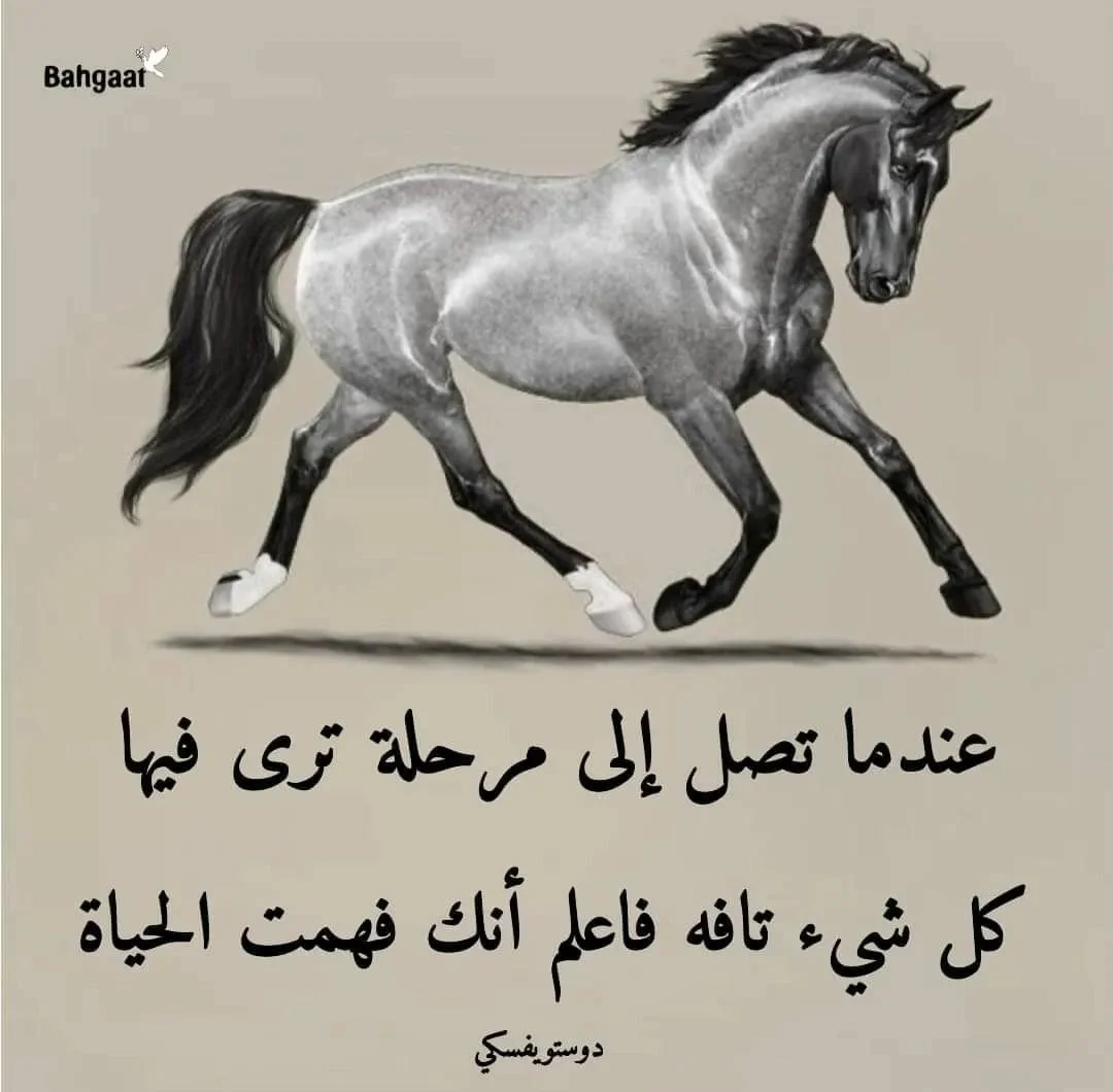 00.webp