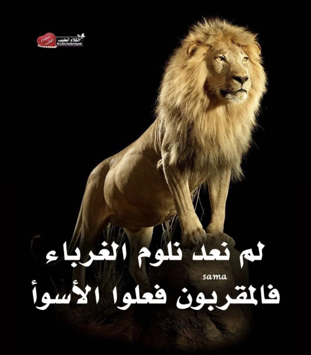 07.webp