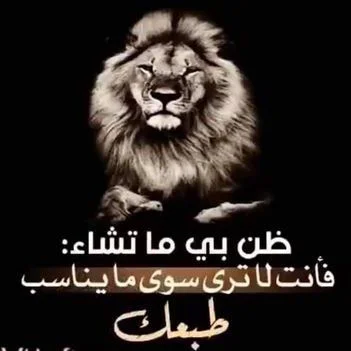 08.webp