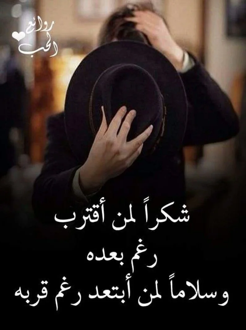 560e8ba00fdda47813e74a0f57789530.webp