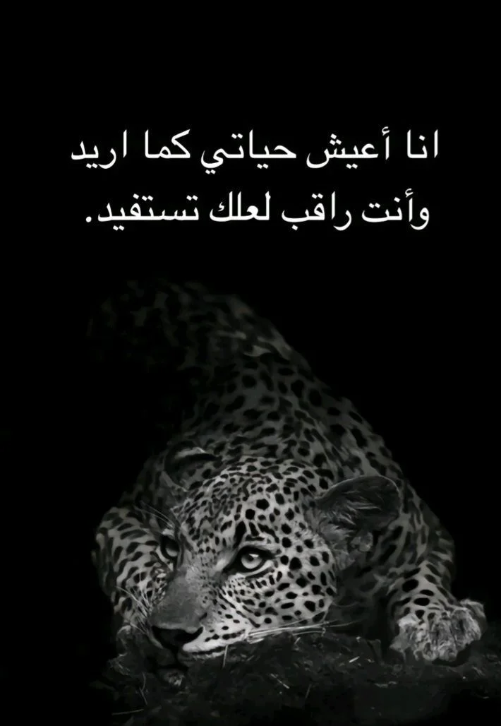 29a8e41c13cc46bd26c65b0ca2720910.webp