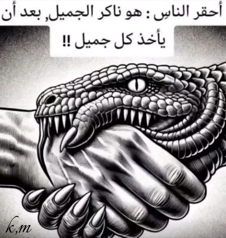 09e00fc0e0d7caa8bcec49651f9bb8a3.webp