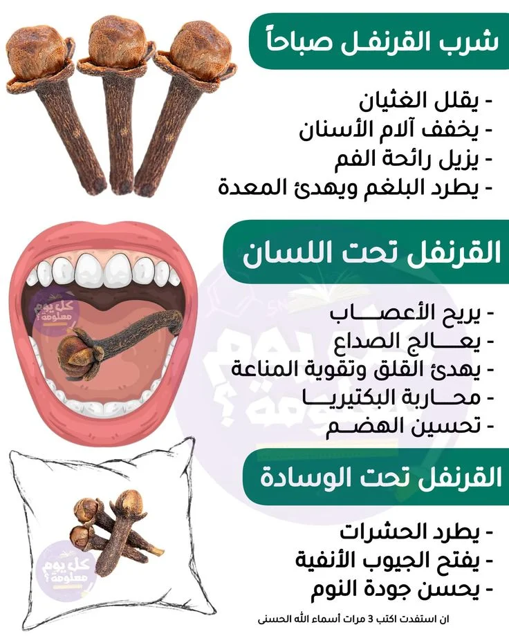 ae6685daffbf2e5b16bc89cf30c90e59.webp