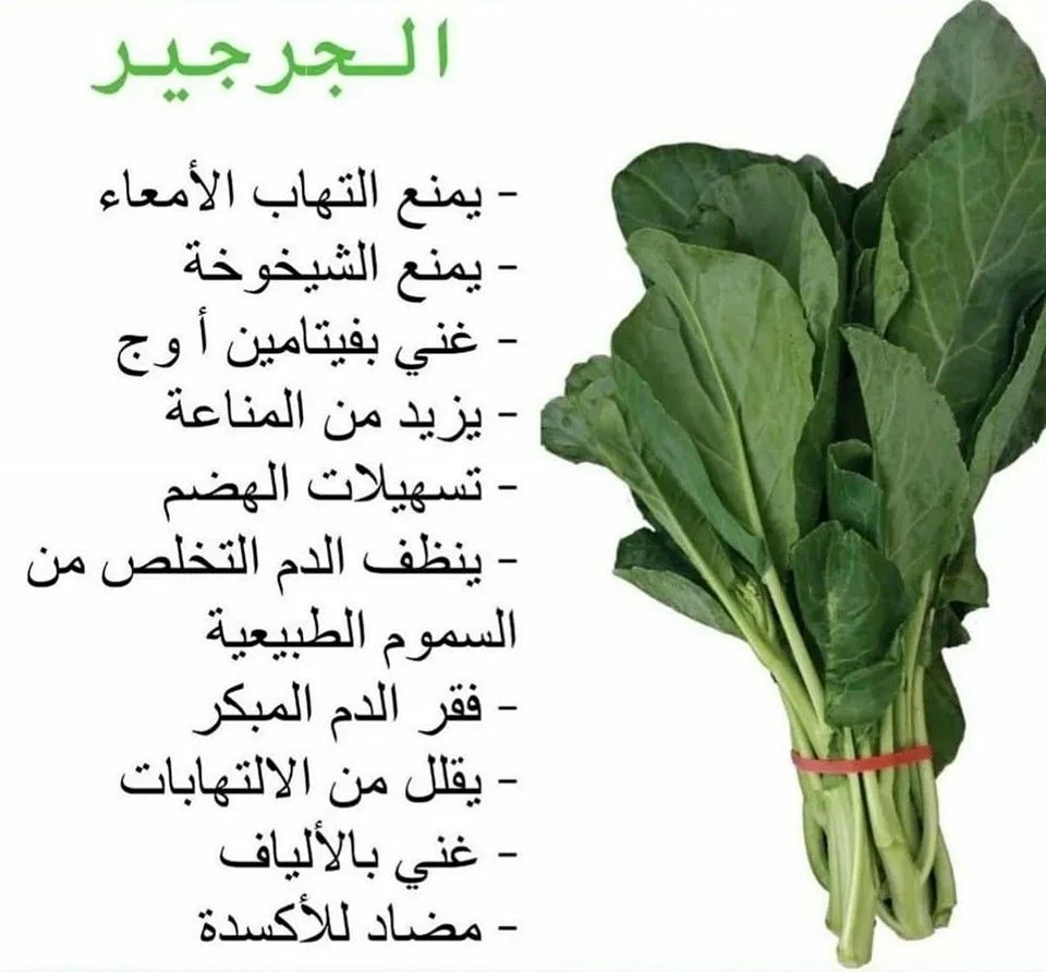 bbb60ce726d13a04fc6e1f3c048c09b5.webp