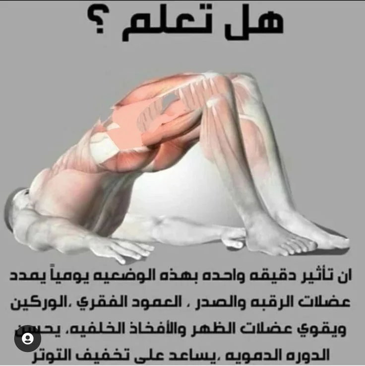 0c159ab126c02680d60f072f9f2e61e7.webp