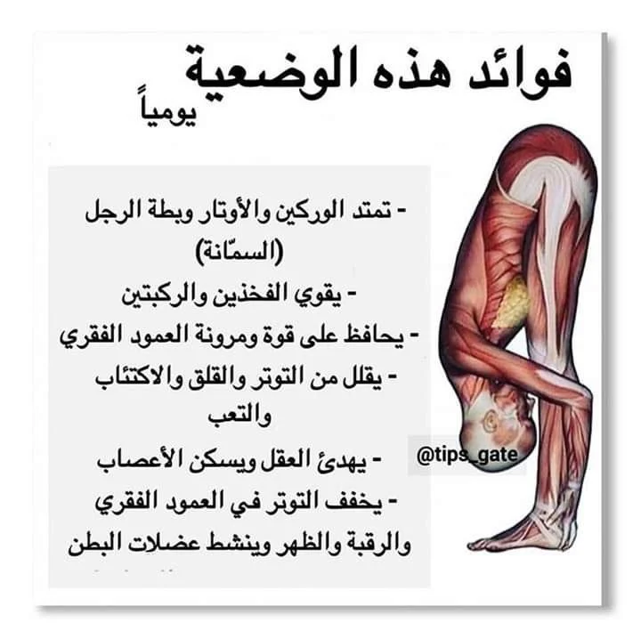 537b591bdc2e44e9e5e1c8e3792ed66a.webp